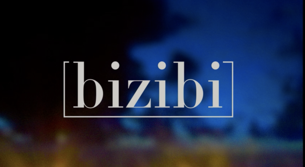 image flying logo bizibi